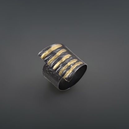 Silver & Gold ring