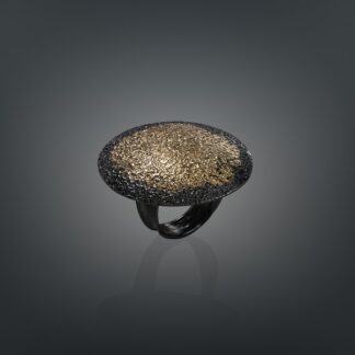 Silver & Gold ring